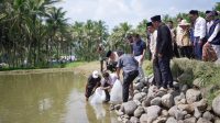 Momen pelepasan 120 ribu benih ikan sebagai wujud harapan baru agar kejayaan budidaya ikan di Nagari Koto Sani dapat bangkit kembali seperti sedia kala.
