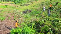 Personel Sat Binmas Polres Solok Kota bersama jajaran DLH dan BPBD sedang membuka lahan produktif di Kalumpang, Kelurahan VI Suku, Kecamatan Lubuk Sikarah.