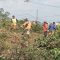 Personel Satbinmas, DLH dan BPBD Kota Solok bahu-membahu membersihkan lahan dari pepohonan dan semak belukar di Kalumpang, Kelurahan VI Suku, Kecamatan Lubuk Sikarah.